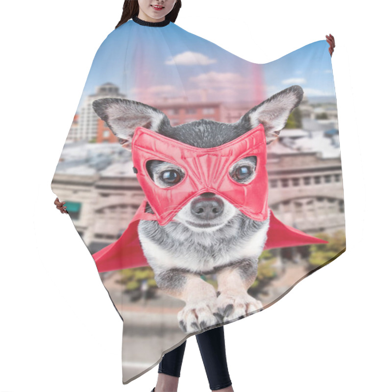 Personality  Cute Chihuahua In A Super Hero Costume Flying Through The Sky Hair Cutting Cape