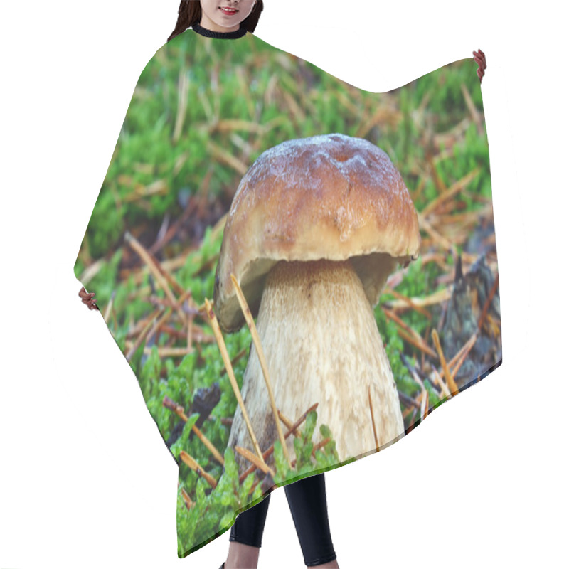 Personality  Boletus Edulis Hair Cutting Cape