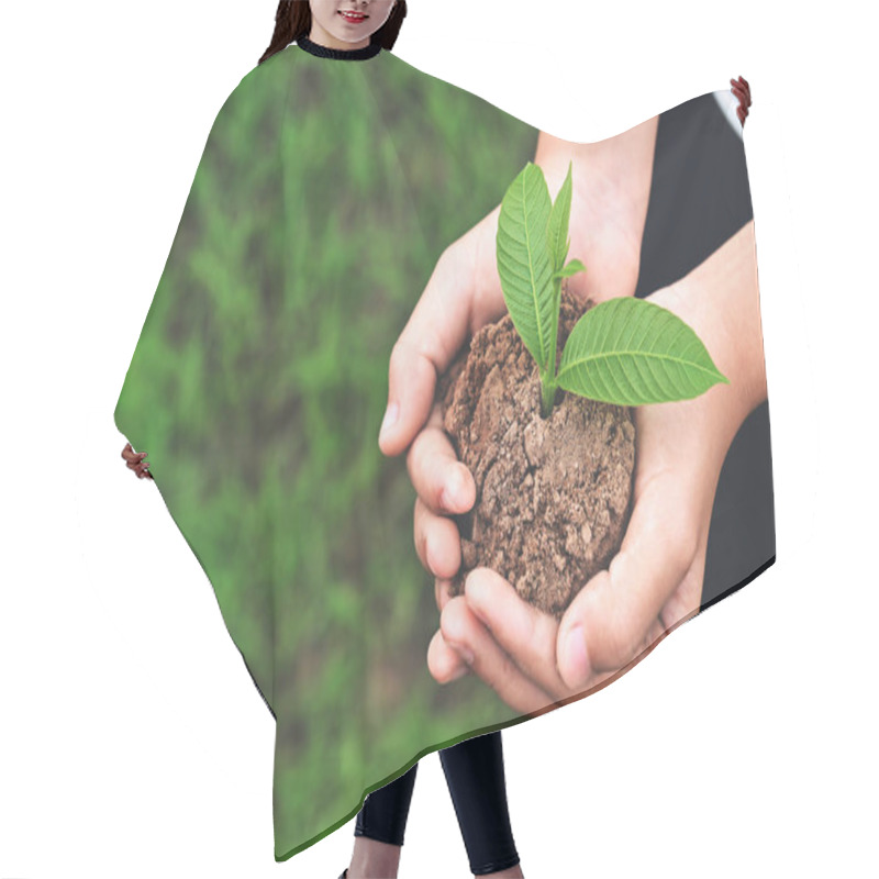 Personality  Close Up Hand Of Children Holding Young Plant On Green Grass Background. Environment Earth Day Concept Hair Cutting Cape