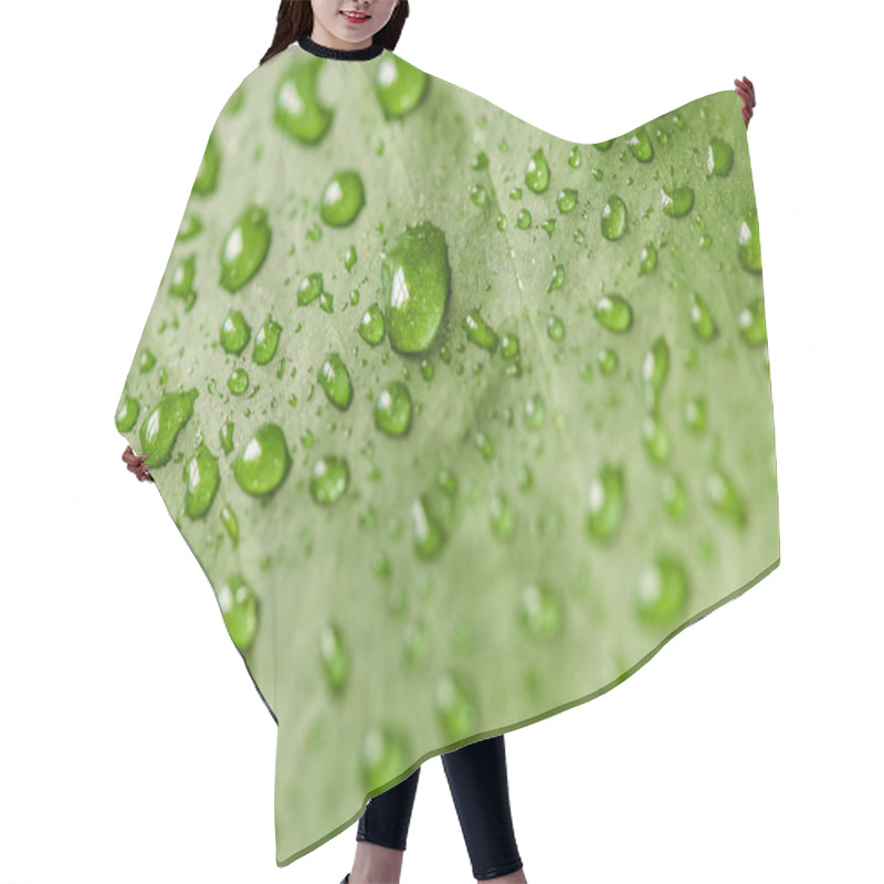 Personality  Close Up Image Of Green Leaf With Water Drops  Hair Cutting Cape