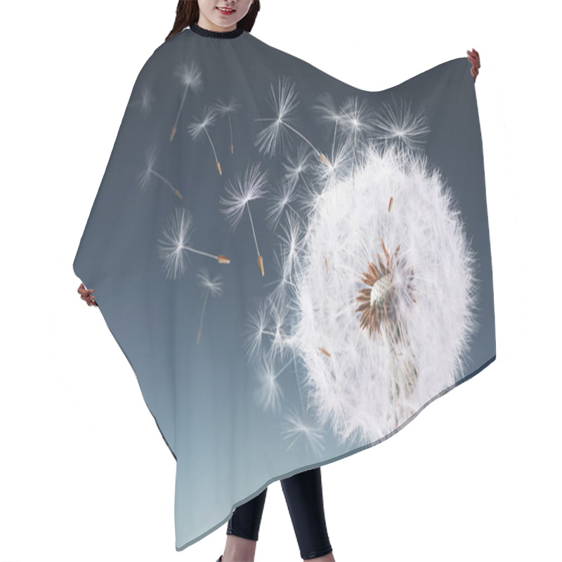 Personality  Dandelion Flying On Blue Background Hair Cutting Cape