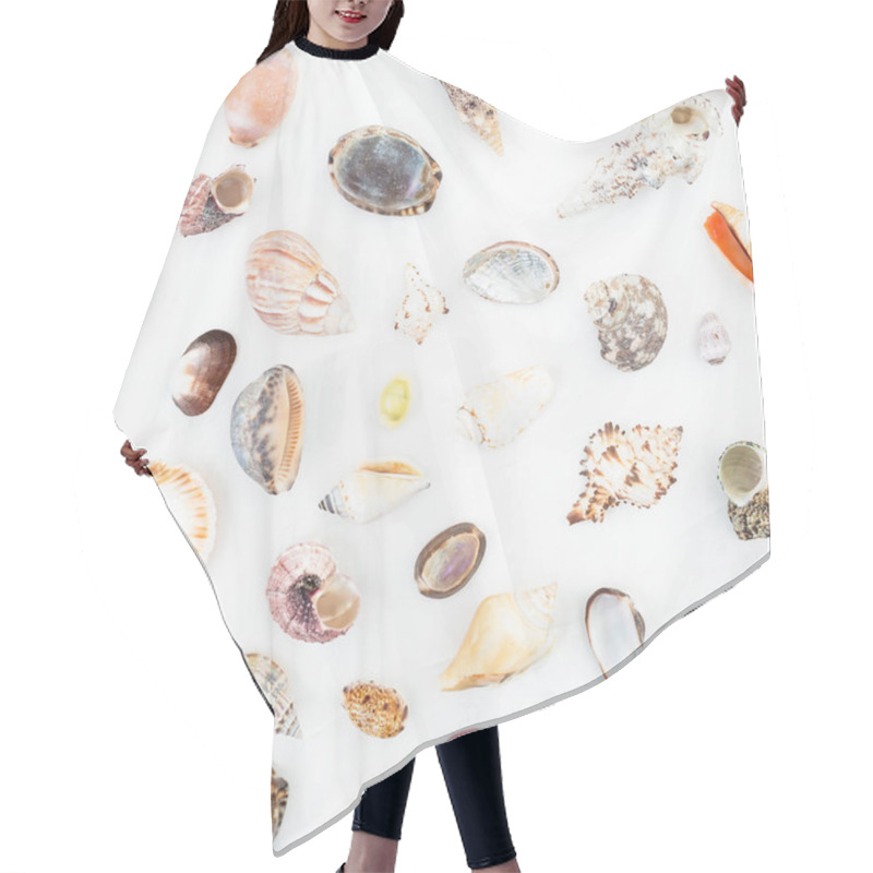 Personality  Various Sea Shells On White Hair Cutting Cape