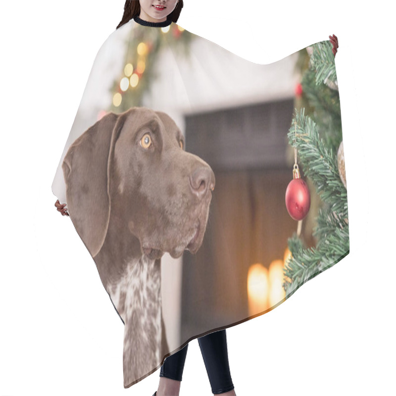 Personality  Close Up Of Dog And Ornaments With Fire Place In The Background Hair Cutting Cape