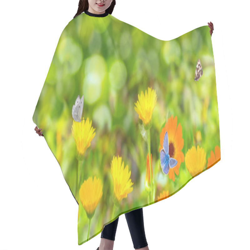 Personality  Blurred Summer Background With Marigold Flowers Field And Butterflies In Sunlight. Hair Cutting Cape