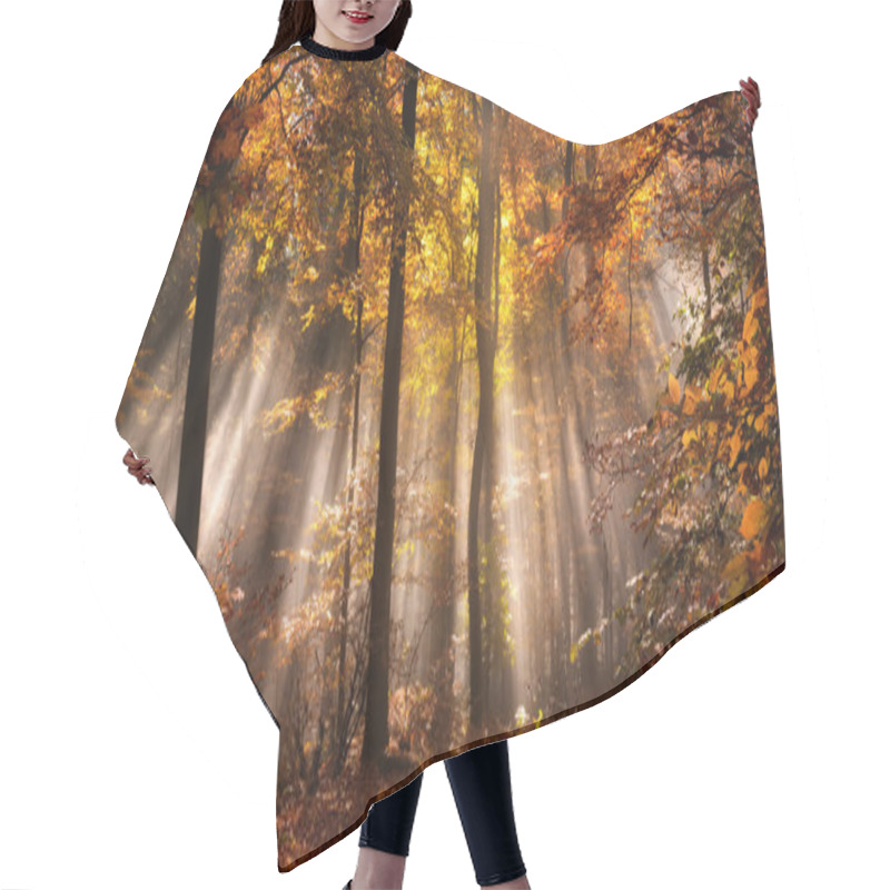 Personality  Rays Of Light In A Misty Autumn Forest Hair Cutting Cape