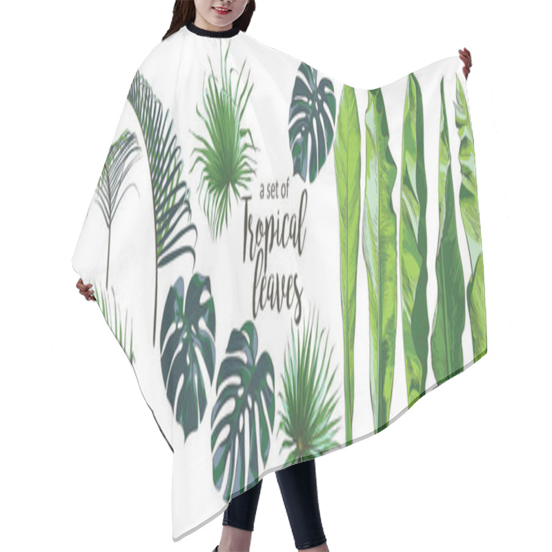 Personality  Vector Tropical Palms, Plants, Leaf, Foliage, Monstera Hair Cutting Cape