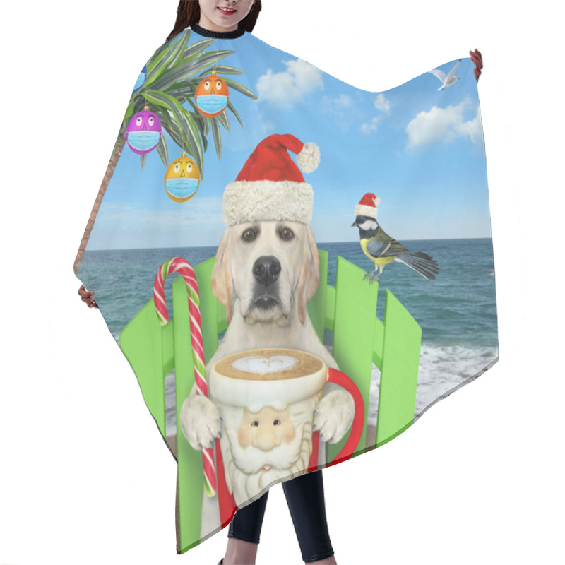 Personality  A Dog With Cup Of Coffee Is Sitting On A Beach Chair Under A Palm Tree Decorated With Christmas Balls With Protective Masks. Hair Cutting Cape