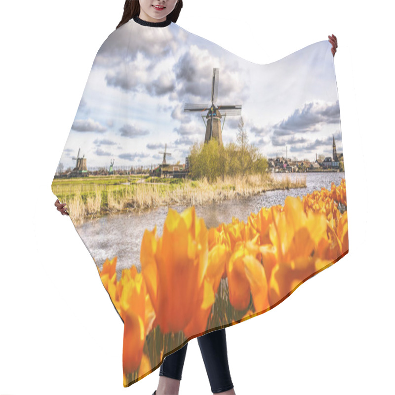 Personality  Traditional Dutch Windmill With Tulips In Zaanse Schans, Amsterdam Area, Holland Hair Cutting Cape