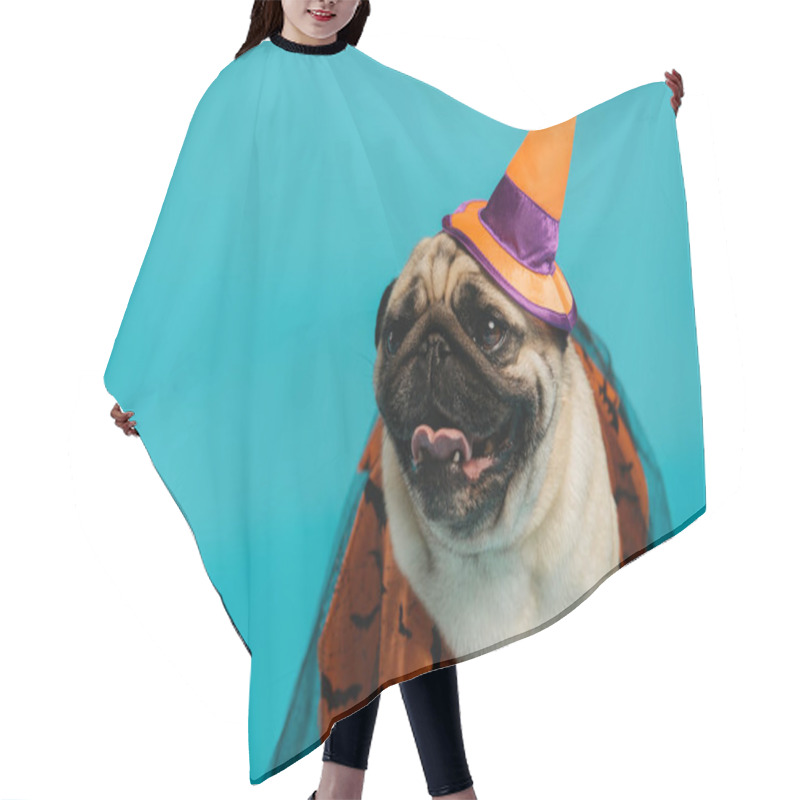 Personality  Purebred Pug Dog In Halloween Cloak And Pointed Hat Isolated On Blue  Hair Cutting Cape