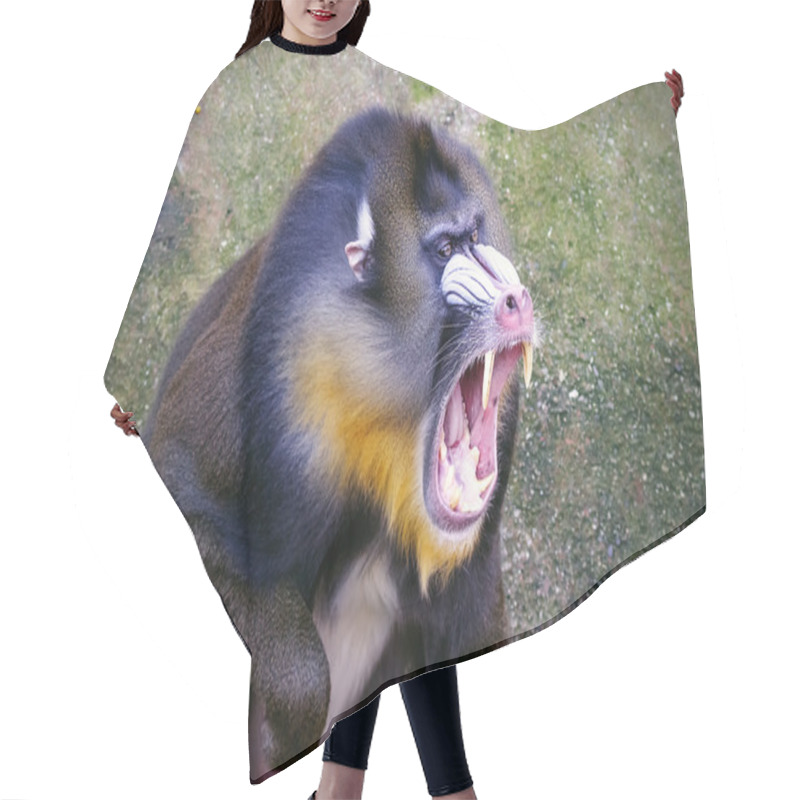 Personality  Mandrill Hair Cutting Cape