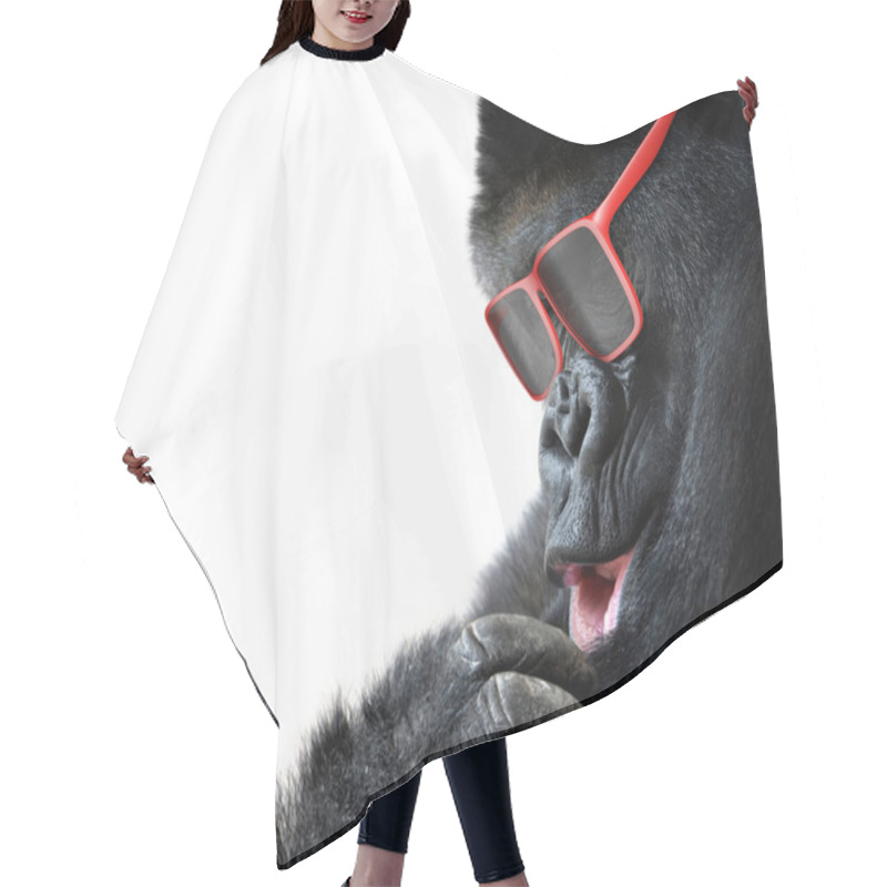 Personality  Unusual Animal Fashion, Closeup Of Gorilla Face With Red Sunglasses Hair Cutting Cape