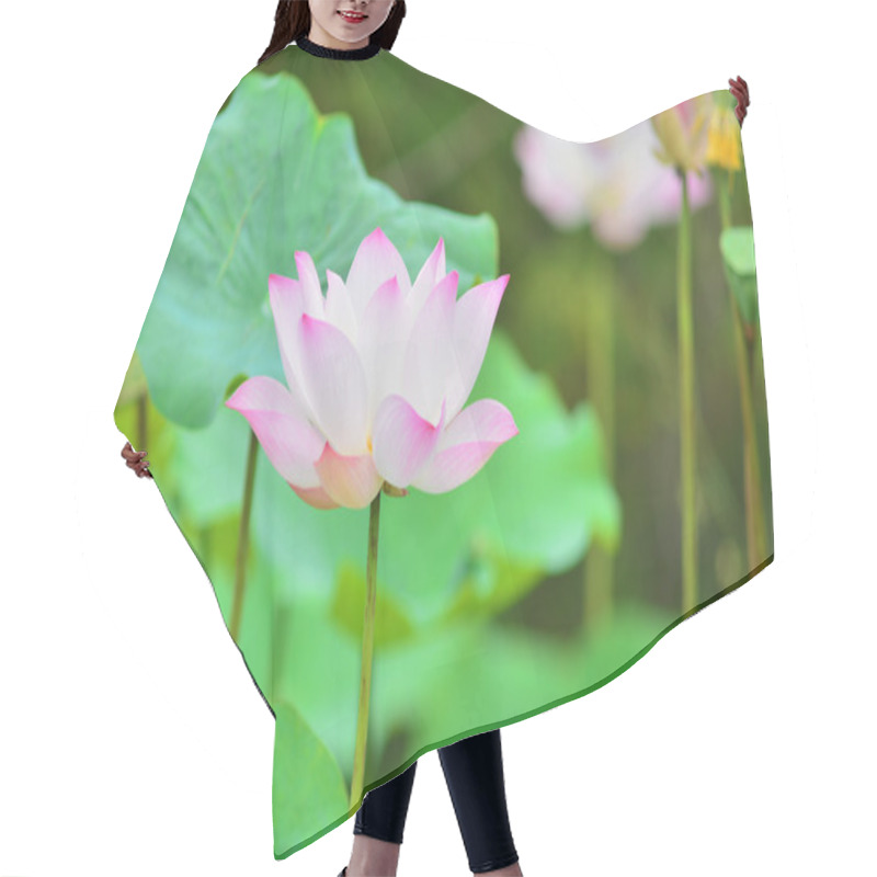 Personality  Lotus Flower  Hair Cutting Cape