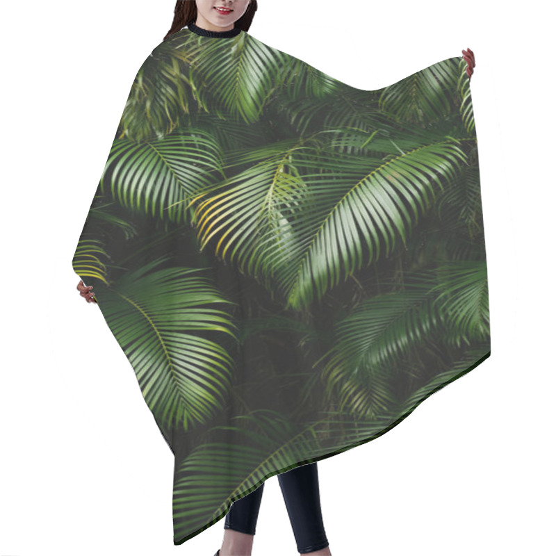 Personality  Landscape Of Rain Forest Hair Cutting Cape