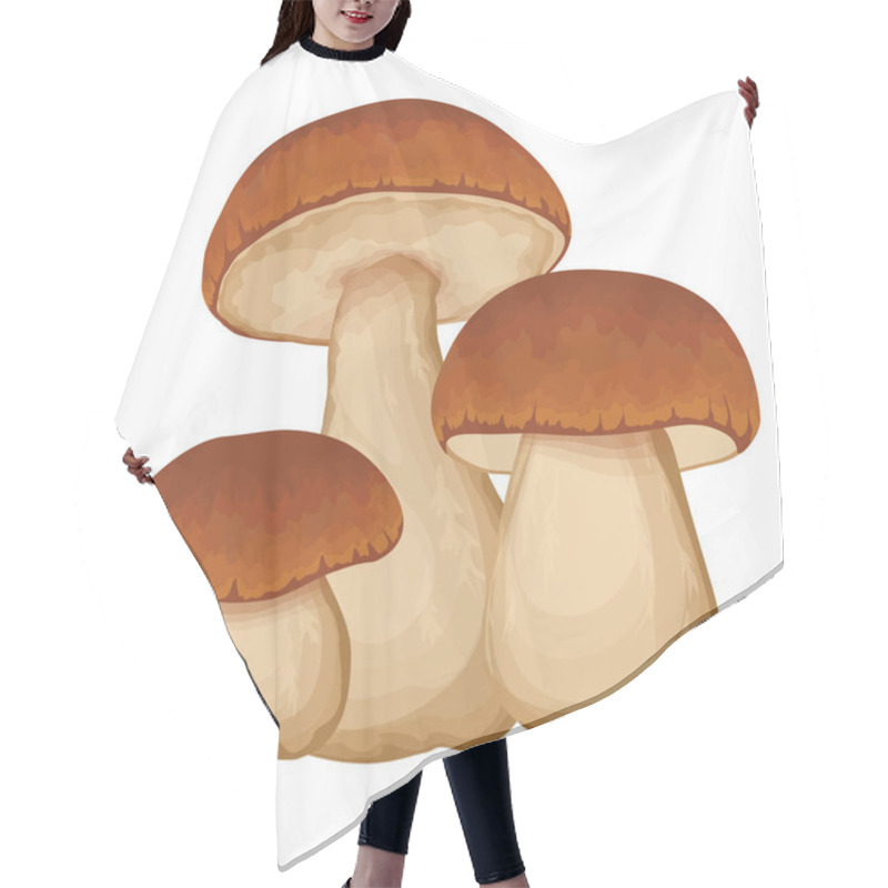 Personality  Forest Fresh Eatable Brown Penny Bun Or Porcino Isolated On White Background. Seasonal Mushrooming Botanical Vector Illustration. Hair Cutting Cape