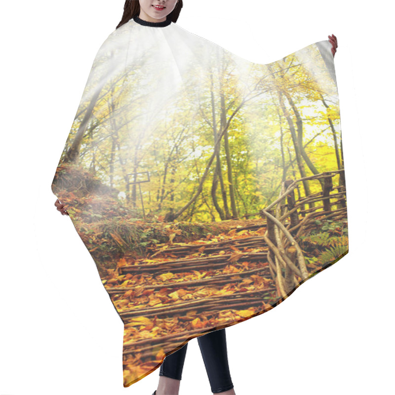 Personality  Autumn Leaves, Fall Season Foliage Hair Cutting Cape