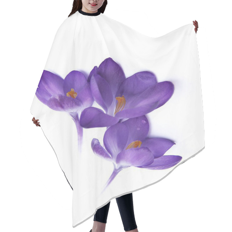 Personality  Crocus Hair Cutting Cape