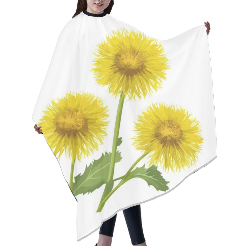 Personality  A Pack Of Dandelion Flowers In Vector Style Hair Cutting Cape