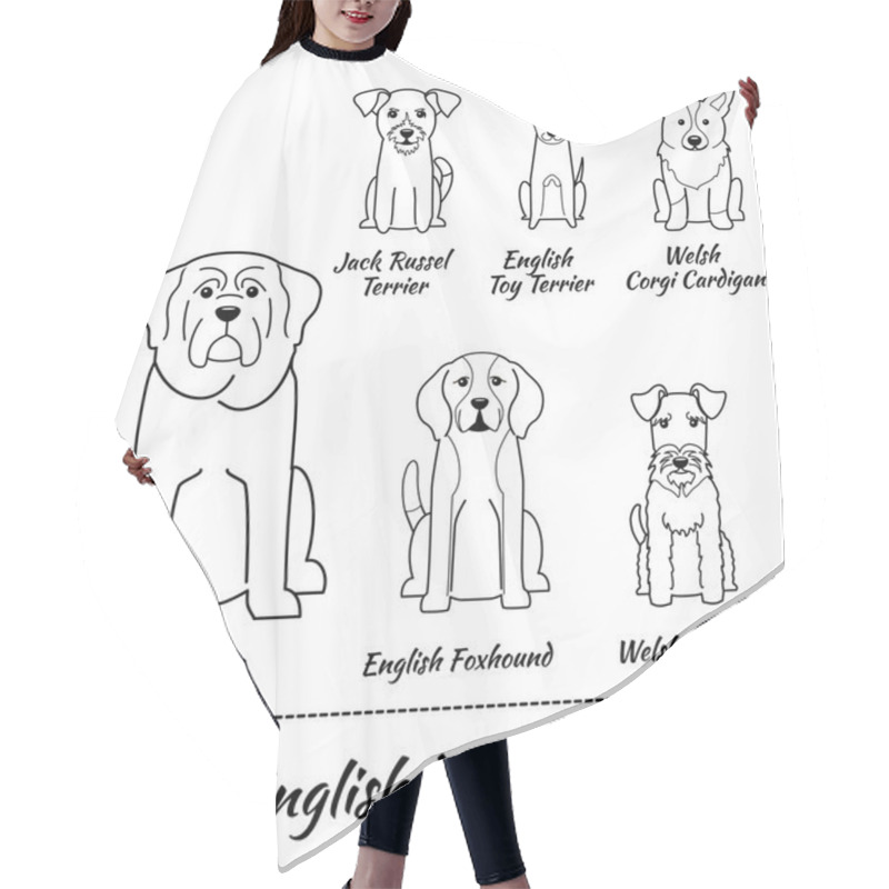 Personality  English Breed Of Dogs Hair Cutting Cape