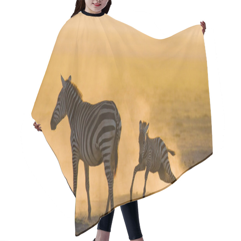 Personality  Zebra With Baby In The Dust Hair Cutting Cape