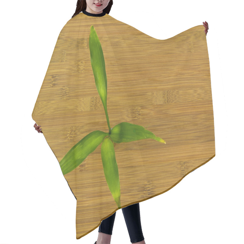 Personality  Natural Japanes Bamboo Floors With Bamboo Plant Hair Cutting Cape