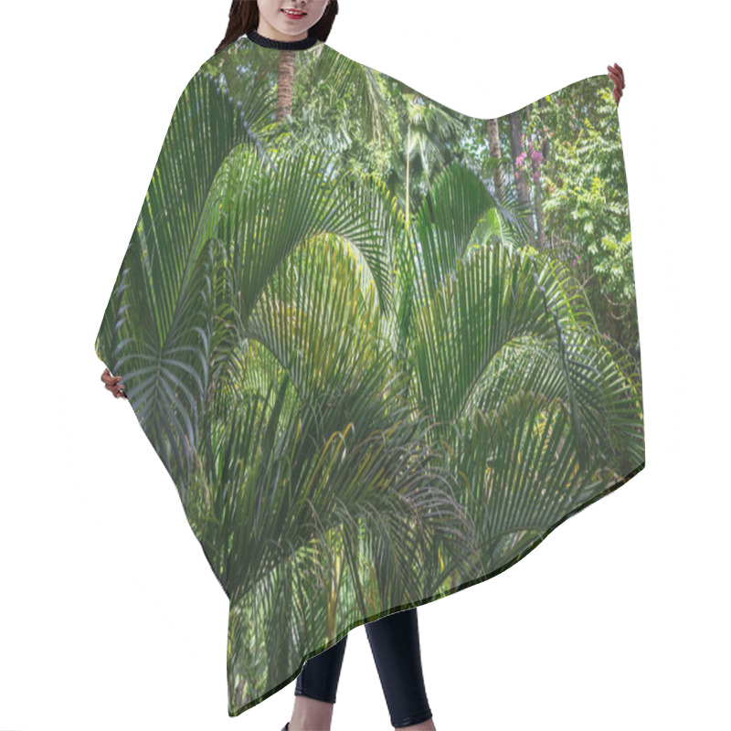 Personality  Wild Palm Leaf Garden, Close Up View Hair Cutting Cape