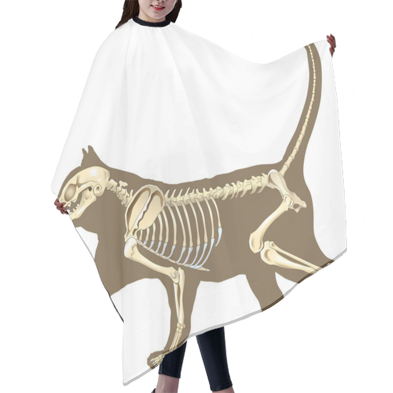 Personality  Cat Skeleton Hair Cutting Cape