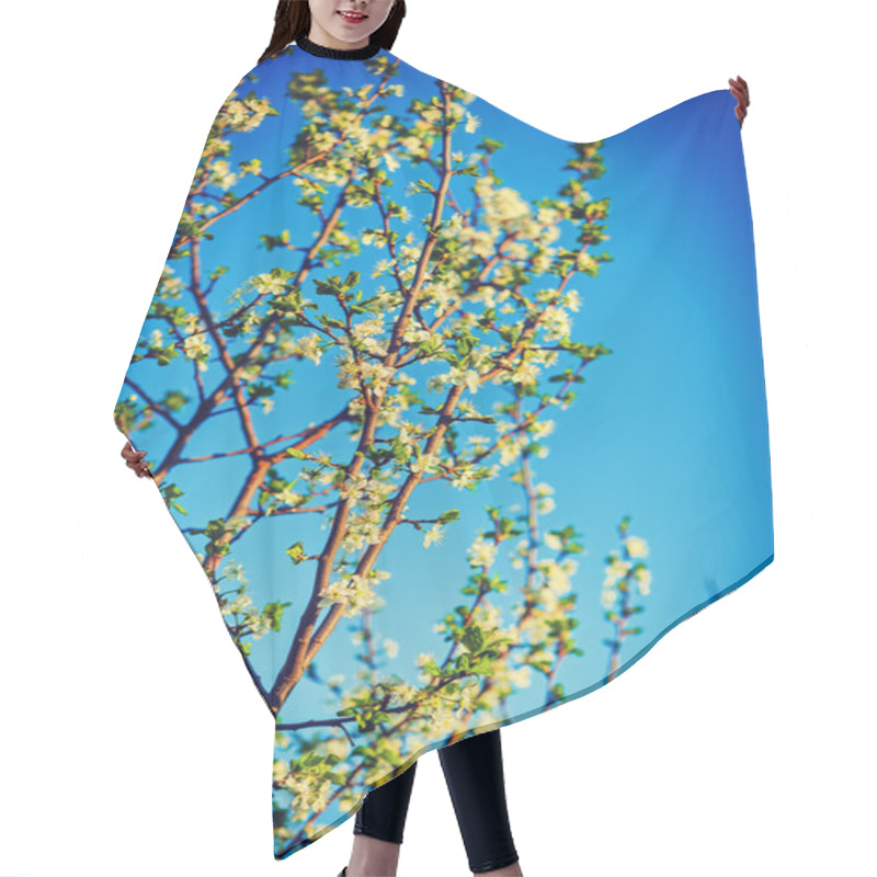 Personality  Blossoming Branches Of Cherry Tree Hair Cutting Cape