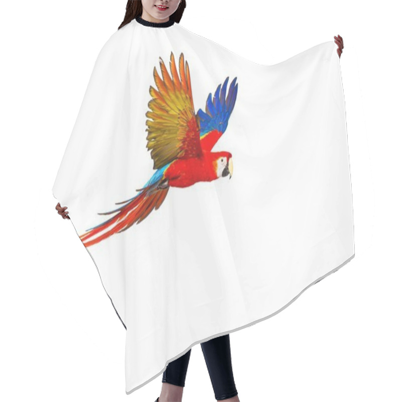 Personality  Colourful Flying Parrot In Tropical Landscape Hair Cutting Cape