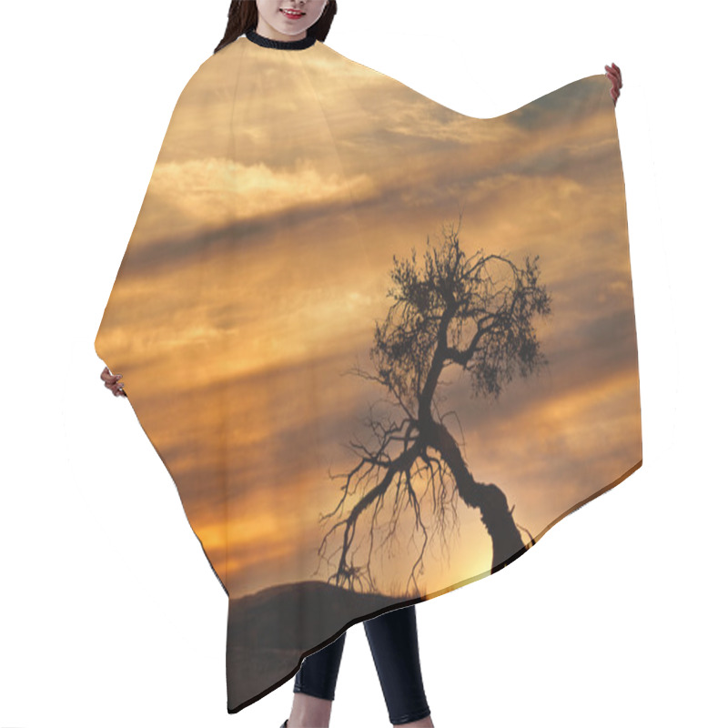 Personality  Desert Sunset Hair Cutting Cape