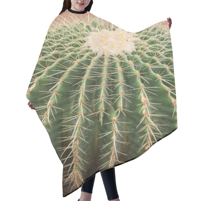 Personality  Cactus Garden Hair Cutting Cape