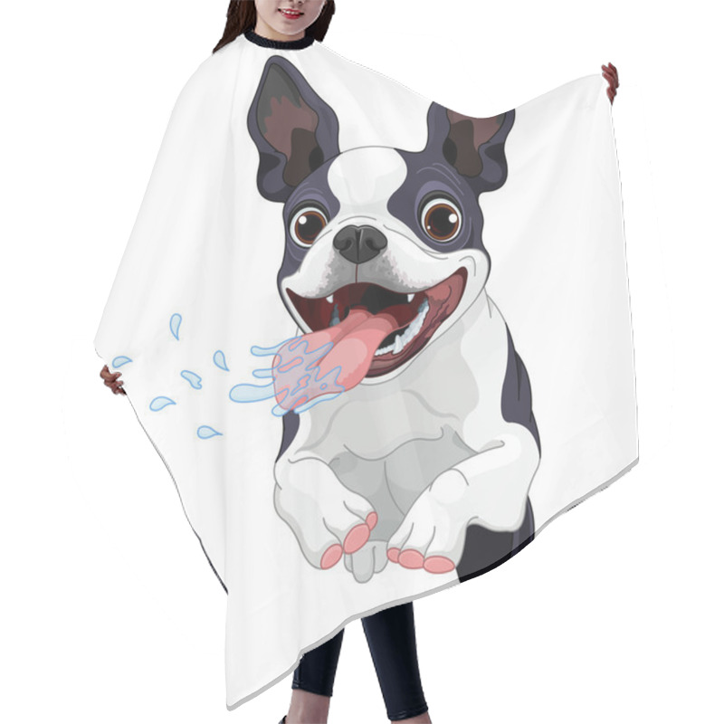 Personality  Cute Boston Terrier Hair Cutting Cape