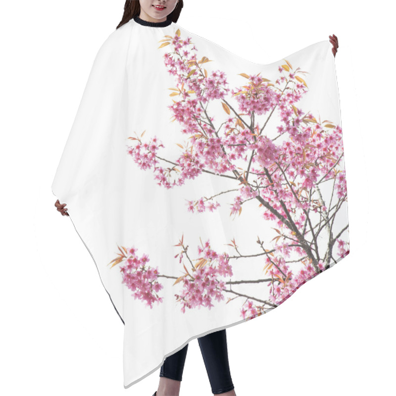 Personality  Sakura Flowers Or Cherry Blossom Hair Cutting Cape