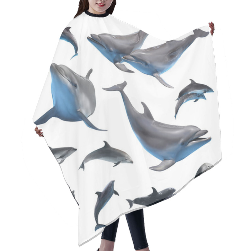 Personality  Beautiful Grey Bottlenose Dolphins On White Background, Collage Hair Cutting Cape