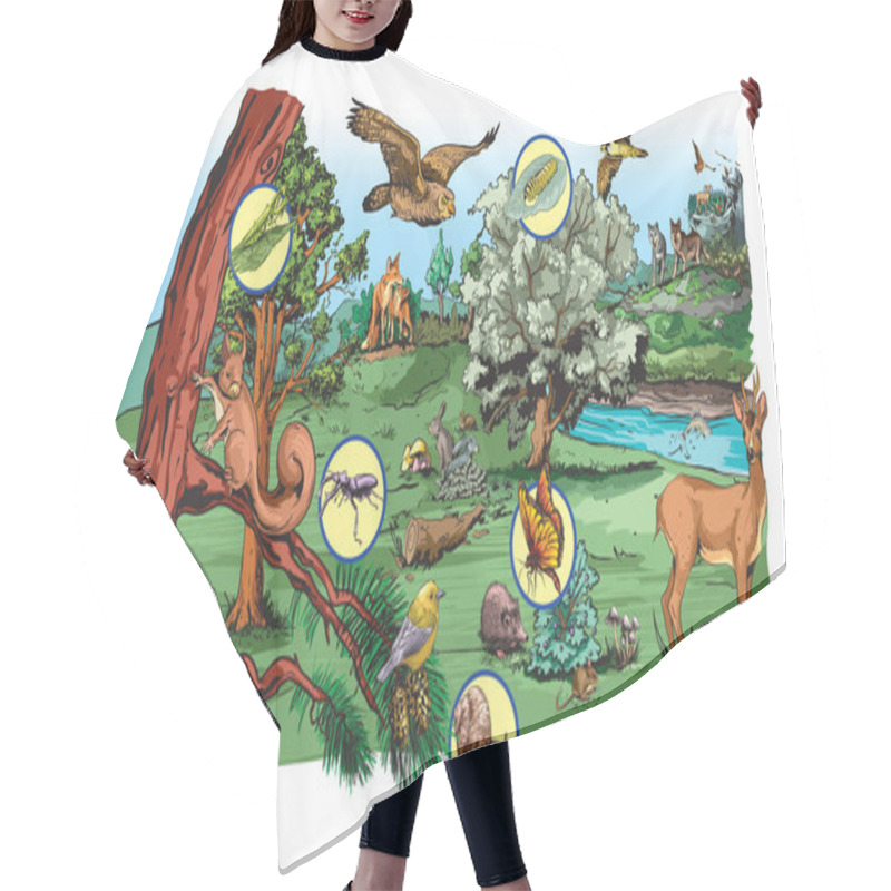 Personality  Illustration Of Food Chain In Forest For School Excersise. Hair Cutting Cape