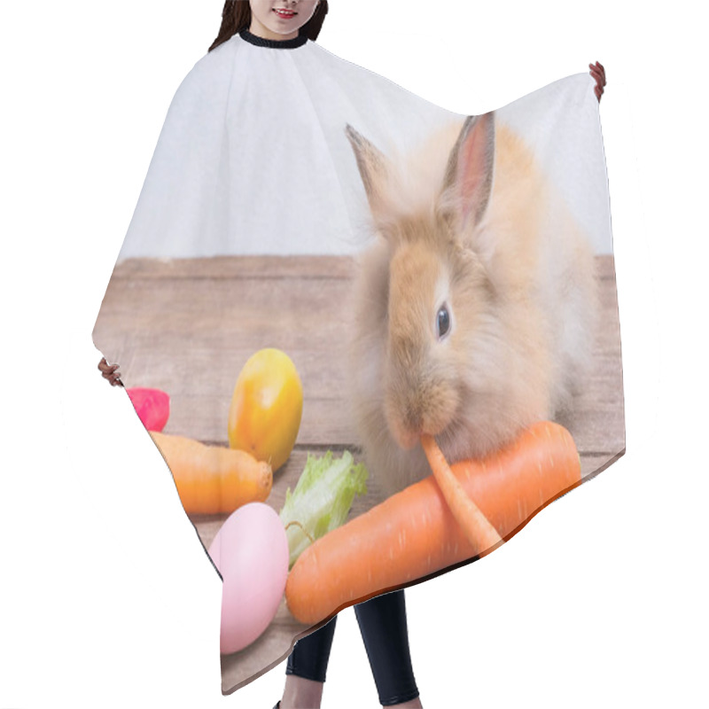 Personality  Rabbits On Wooden Floors, Carrots, Cucumbers, Tomatoes And Barre Hair Cutting Cape