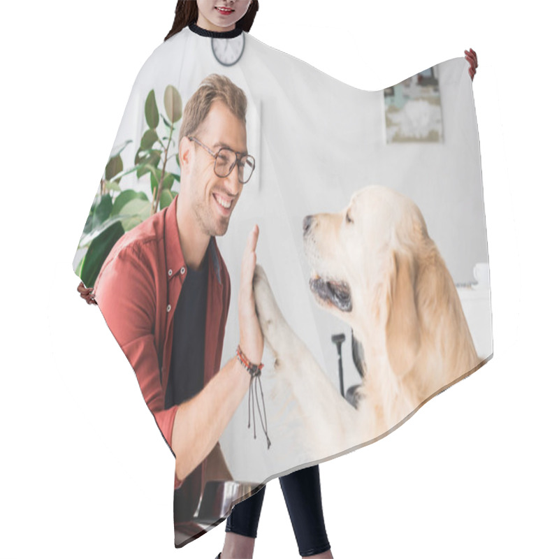 Personality  Golden Retriever Dog Giving Five To Happy Man In Glasses Hair Cutting Cape