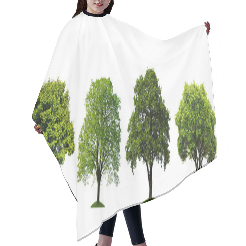 Personality  Fresh Tree Collection Isolated On White Background Hair Cutting Cape