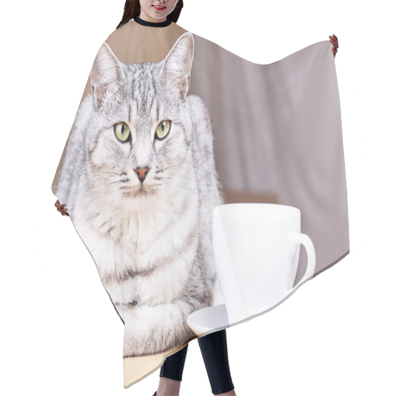 Personality  White Tea Mug Cat Hair Cutting Cape