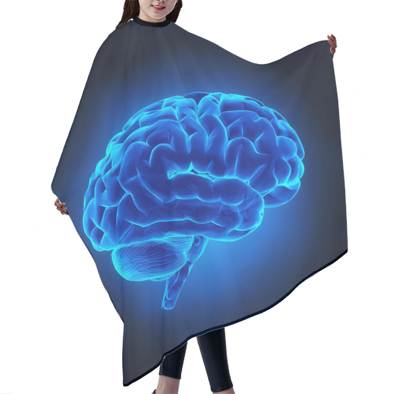 Personality  Human Brain In X-ray View Hair Cutting Cape