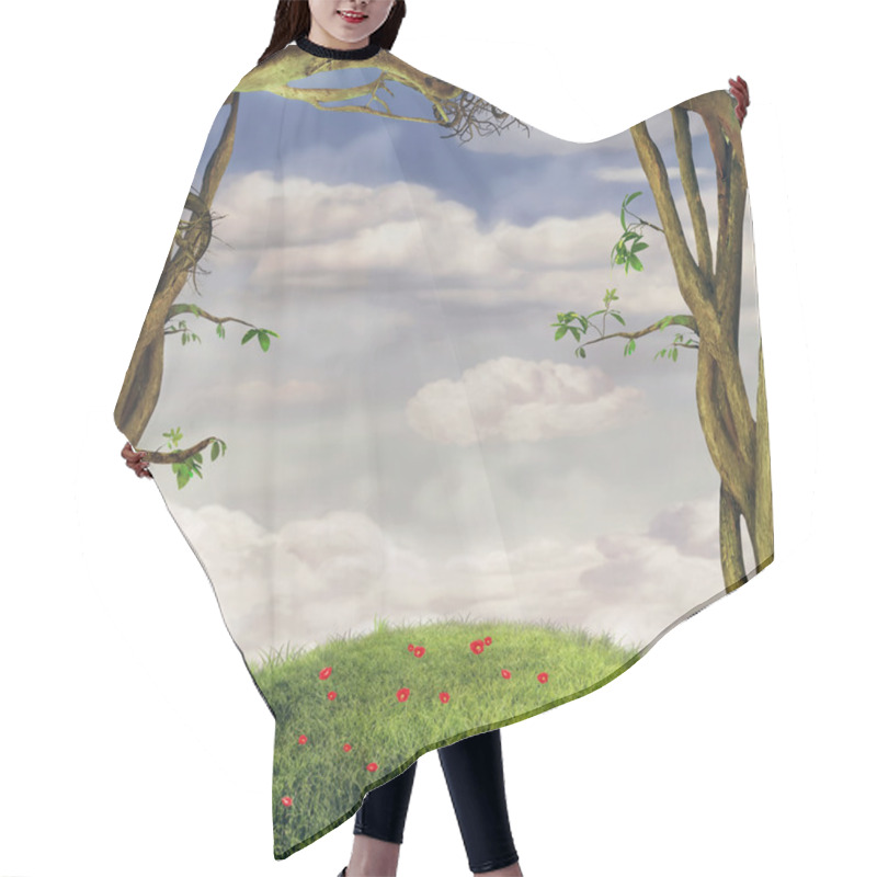 Personality  A Beautiful Woodland Scene With Trees And Grass And Space In The Hair Cutting Cape