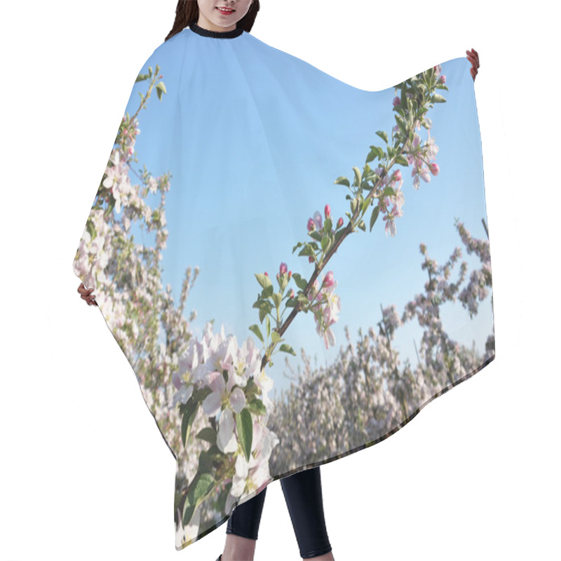 Personality  Apple Blossom Hair Cutting Cape