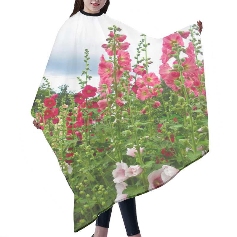 Personality  The Flowers Of The Magnificent Hollyhock In My Garden Hair Cutting Cape