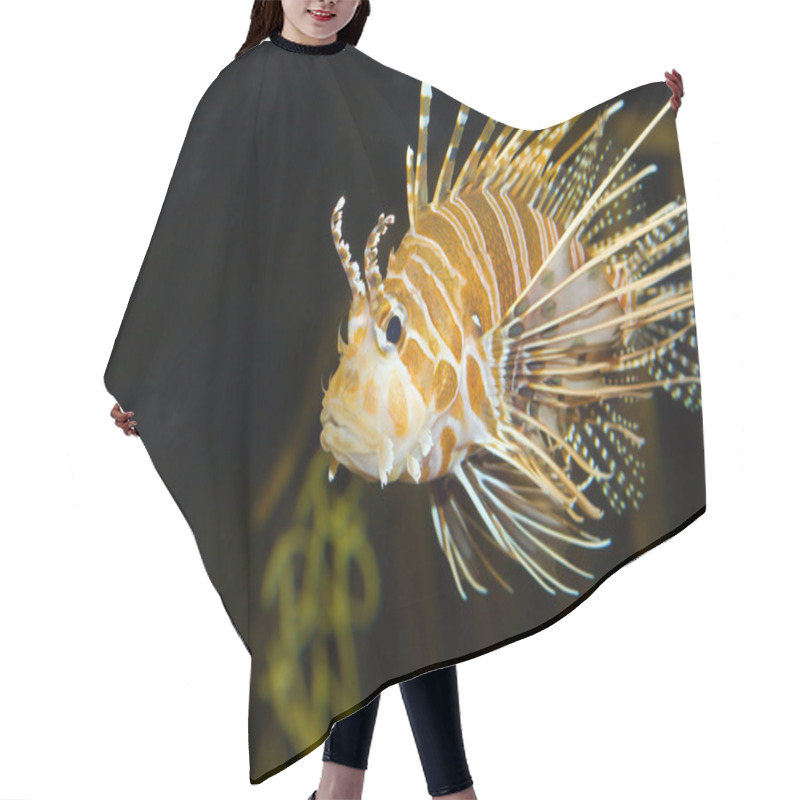 Personality  Lion Fish In Aquarium Hair Cutting Cape