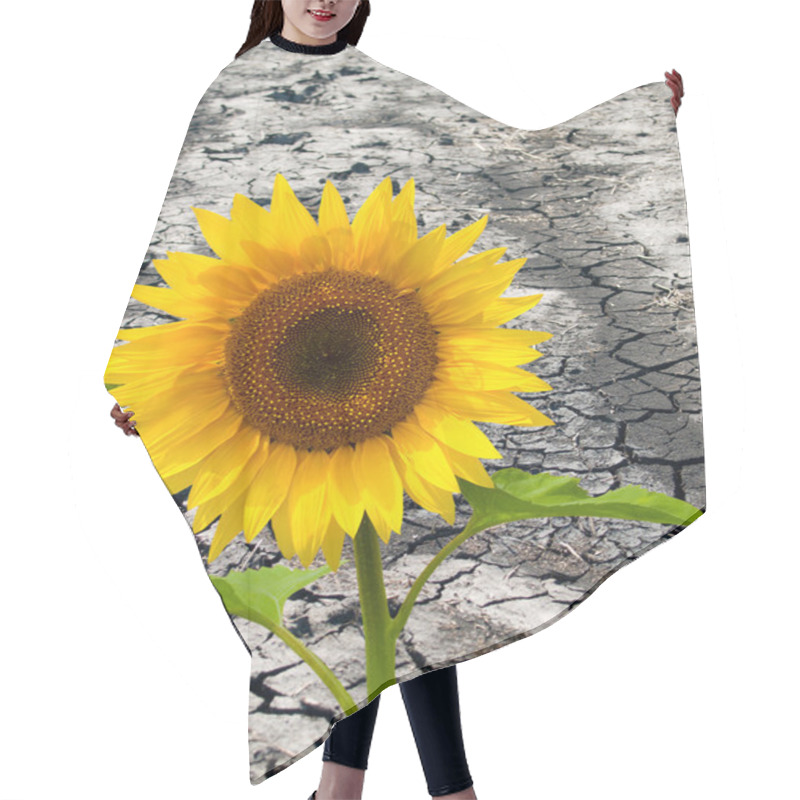 Personality  Sunflowers Hair Cutting Cape