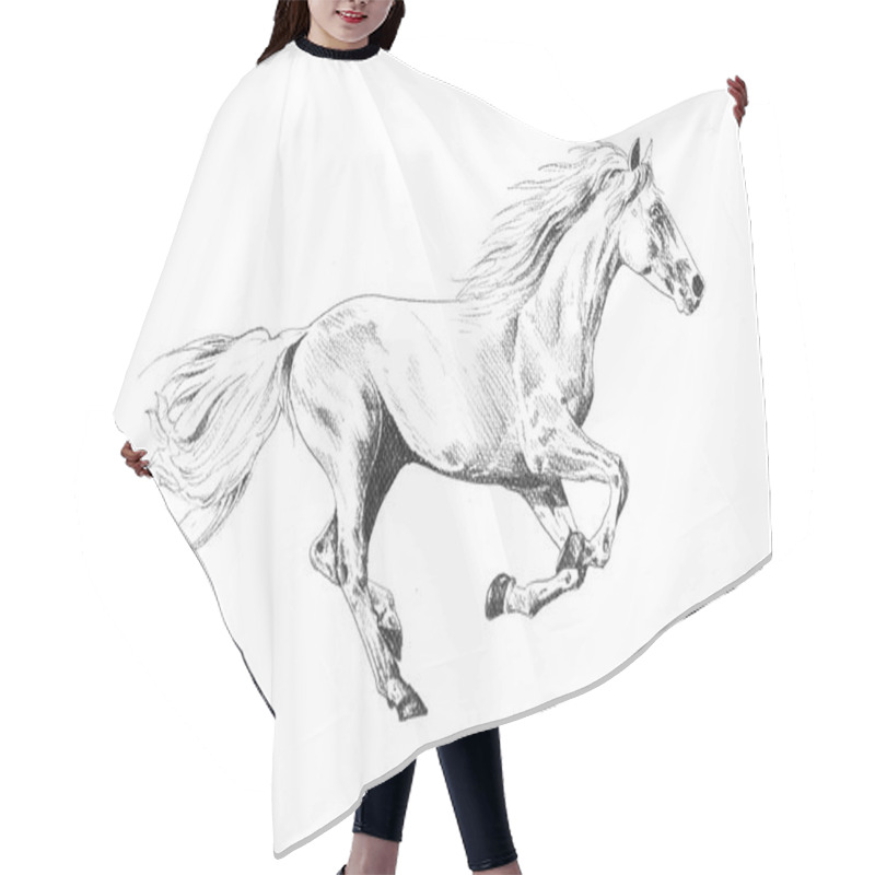 Personality  Freehand Horse Head Pencil Drawing Hair Cutting Cape