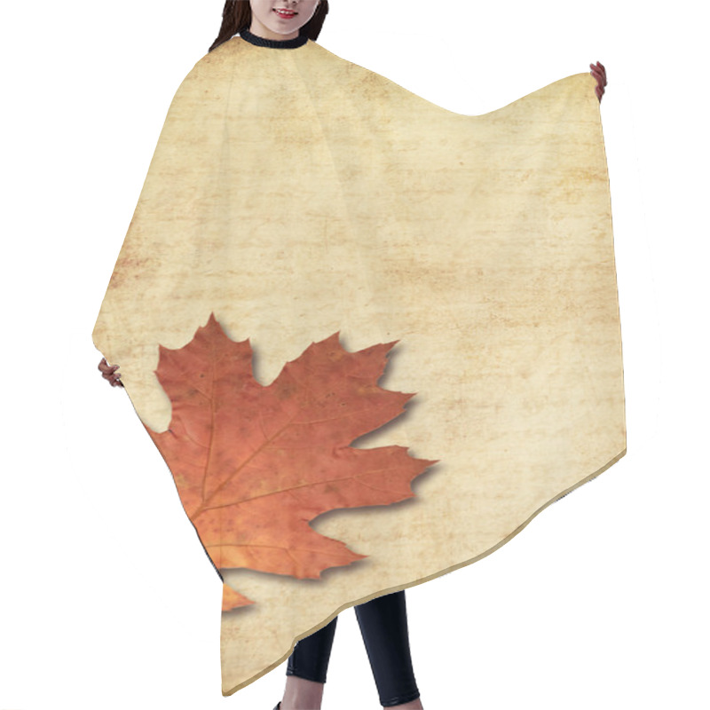 Personality  Grunge Background With Oak Autumn Leave Hair Cutting Cape