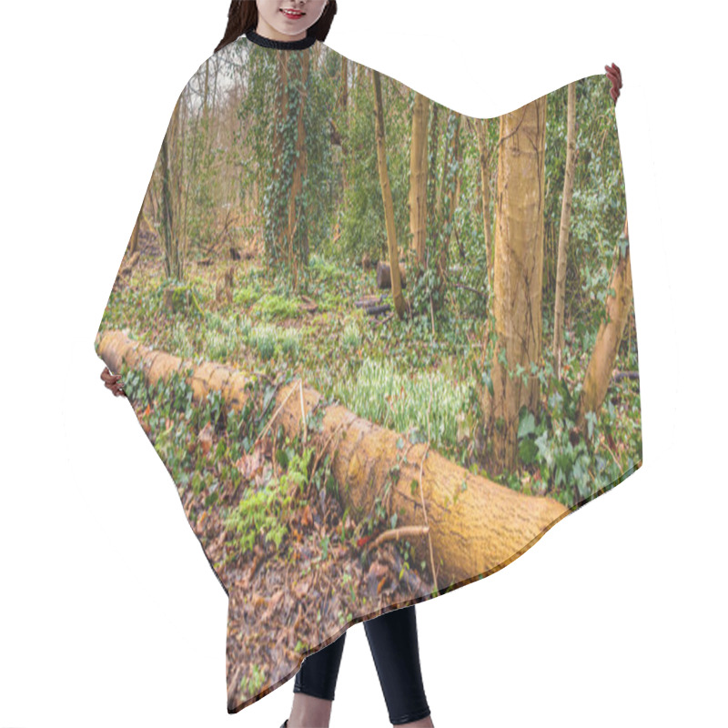 Personality  Fallen Tree Trunk Nestled In A Tranquil Forest, Surrounded By Lush Foliage And Natural Textures. Captures The Beauty And Serenity Of Untouched Wilderness. Hair Cutting Cape