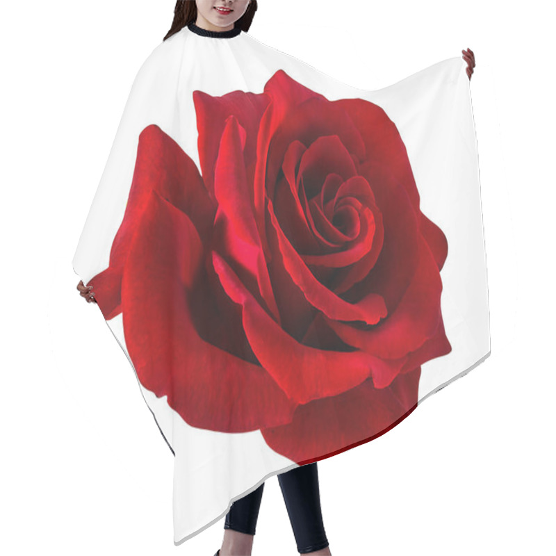 Personality  Rose Isolated On White Background Hair Cutting Cape