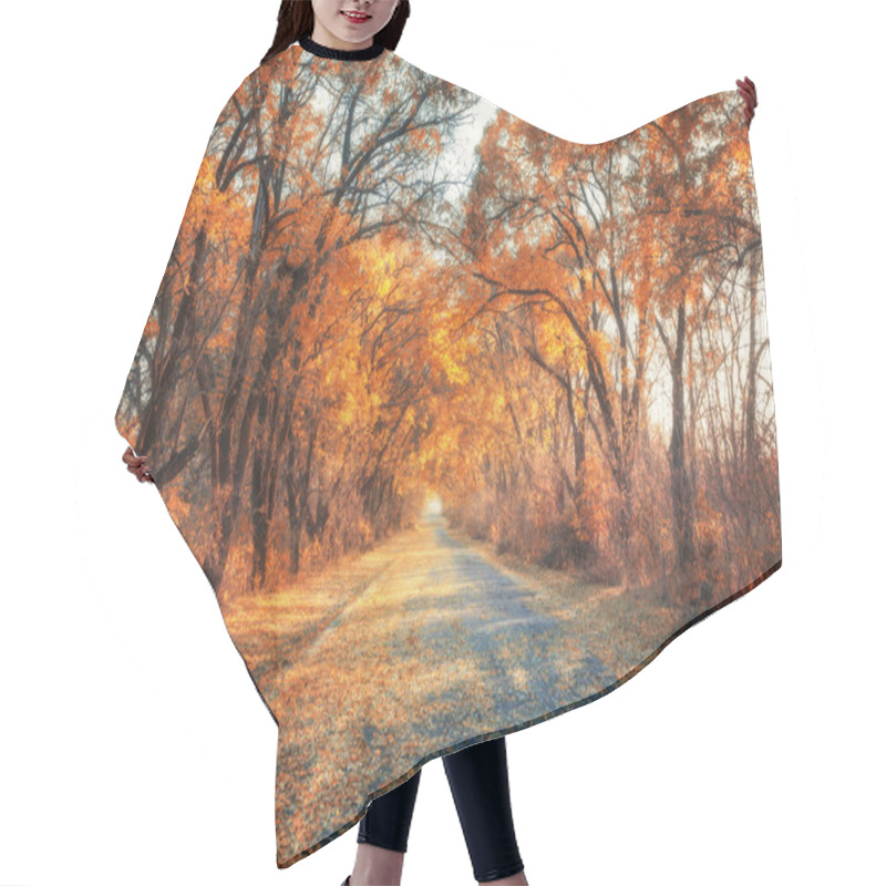 Personality  Autumn Forest. Forest With Country Road At Sunset Hair Cutting Cape