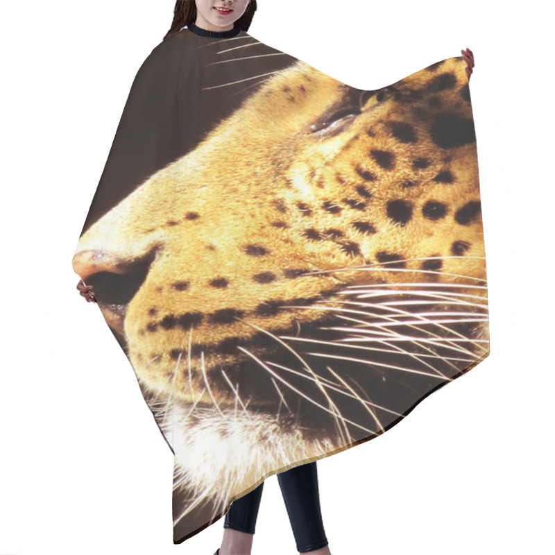 Personality  Isolated Close-up Leopard Face Side View Hair Cutting Cape